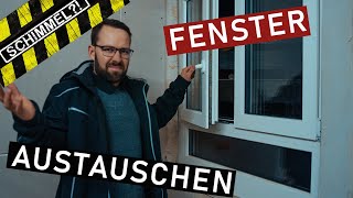 Fenster tauschen  Schimmel UWert amp aktuelle Förderung [upl. by Manoff463]