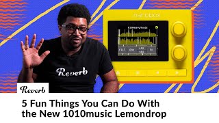 1010music Nanobox Lemondrop 5 Cool Things About This Tiny Granular Synthesizer [upl. by Eli]