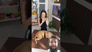 dog wala cake😂😁comedy funny shorts ytshorts trending [upl. by Gnouv]