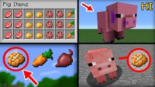 ✔ Minecraft 20 Things You Didnt Know About the Pig [upl. by Aremaj]