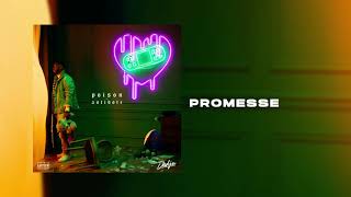 DADJU  Promesse Audio Officiel [upl. by Farrica226]