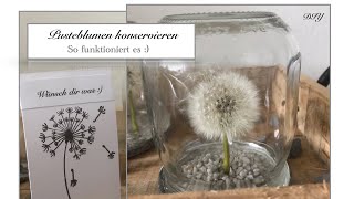 DIY Pusteblumen konservieren Wohninspro Natur pur  Deko Jana [upl. by Kala]