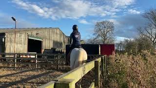 Aniela Newton riding Allegro October 24 BD elementary 3 [upl. by Nitsruk883]