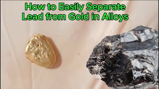 Unlocking the Secrets How to Easily Separate Lead from Gold in Alloys [upl. by Mycah]