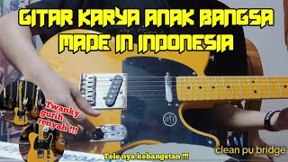 Fena Guitars Telecaster 2024 Model  Unboxing  Tes Sound [upl. by Adlar]