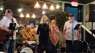 dagnabbit Band Louisville Ky featuring Barbara Manley Calloway on Harmonica [upl. by Artimed764]