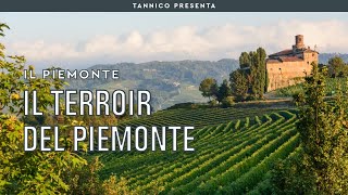 I vini piemontesi e il segreto del terroir  Tannico Flying School [upl. by Ditzel]