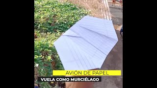 AVIÓN DE PAPEL EN FORMA DE MURCIÉLAGO [upl. by Clarence80]