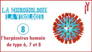 LA MICROVIROLOGIE EPISODE 8 lâ€™herpÃ¨svirus humain de type 6 7 et 8 [upl. by Arman851]