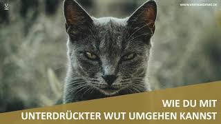 Wie Du mit unterdrückter Wut umgehen kannst  Podcast 103 [upl. by Serafina]