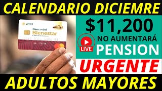 No aumentará la pensión 2025 Y calendario diciembre pago de 11 mil 200 💰✅ [upl. by Rodavlas]