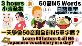 從零開始3小時學會50音和N5單字日語聆聽3 Hours Japanese 50 letters amp N5 vocabulary words learning amp listening Hiragana [upl. by Cope]