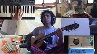 Wasp of the Palisades Sufjan Stevens cover  Jaden Raso [upl. by Ramat]