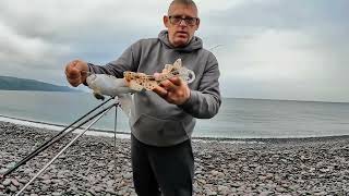 Dongle Fishing at Bossington Bristol Channel [upl. by Reppep]