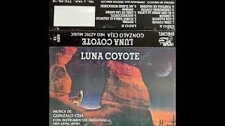 Gonzalo Ceja Gascon – Luna Coyote  Musica Con Instrumentos Indigenas  Neo Aztec Music Full Album [upl. by Elery]