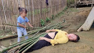 Build a trellis for cowpea plants harvest vegetables to sell [upl. by Mohn791]