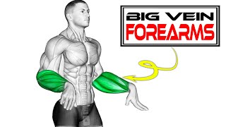 6 Exercises to Get Veiny Forearms No equipment [upl. by Holton]