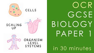 All of OCR BIOLOGY Paper 1 in 30 minutes  GCSE Science Revision Gateway [upl. by Ycinuq223]