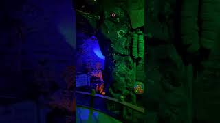 Coral Island Pirate Flyer  Darkride POV [upl. by Amoihc]