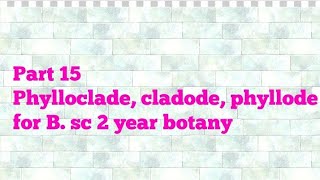 Part 15 Phylloclade cladode phyllode B sc 2 year botany [upl. by Notlrak]