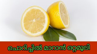 ചൊറിച്ചിൽ മാറാൻ ഒരു ഒറ്റമൂലി chorichhil maran [upl. by Arodal]