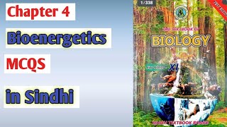 bioenergetics MCQS  class 11 biology Sindh board [upl. by Ennylhsa953]