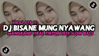 DJ BISANE MUNG NYAWANG REMIX MANGKANE VIRAL TIKTOK 2024 [upl. by Noella328]