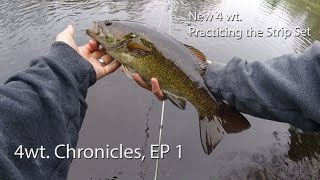 Fly Fishing 4wt Chronicles EP 1 Breaking in the New 4 wt and Practicing the Strip Set [upl. by Harewood]