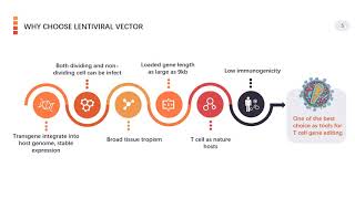 Viral based gene delivery system for CAR T cell engineering  Creative Biolabs Updated Version [upl. by Ciccia]