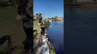 Crevalle jack catch omg saltwaterfish fishing puntagorda [upl. by Nosemyaj286]