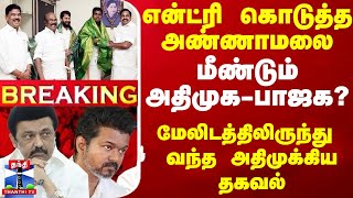 BREAKING  என்ட்ரி கொடுத்த அண்ணாமலை மீண்டும் அதிமுகபாஜக மேலிடத்திலிருந்து வந்த முக்கிய தகவல் [upl. by Troyes]