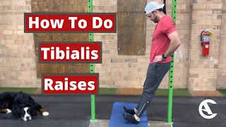 Tibialis Raises [upl. by Aleicarg996]