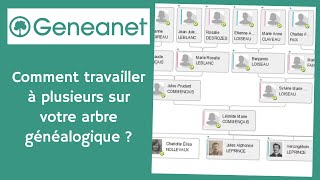 Comment travailler à plusieurs sur votre arbre généalogique avec Geneanet [upl. by Roanna169]