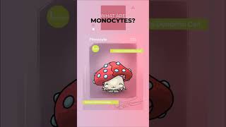 What are Monocytes [upl. by Royal]