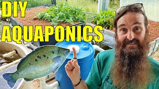 Starting an Aquaponics System  How to Start amp What You Need [upl. by Shermie]