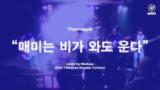 240519 쏜애플  매미는 비가 와도 운다 liver VerBand Cover  연세대학교 락밴드 메두사 정기공연 Club 라이브앤라우드 [upl. by Lebanna]