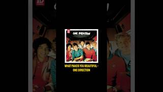 What Makes You Beautiful Karaoke  One Direction Karaoke Version DUETTHIS karaoke onedirection [upl. by Adirehs339]