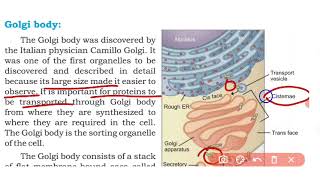 cytoplasmic organelles  cells and tissues  class 9th biology Sindh board new book [upl. by Garap725]