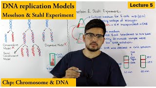 Meselson and Stahl Experiment  Models of DNA Replication  Lecture 5 [upl. by Dumanian]