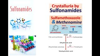 Sulfonamides [upl. by Esilec]