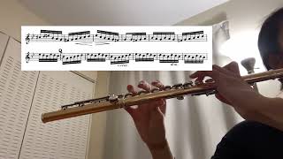 32924 practice log Mendelssohn Midsummer Night’s Dream Scherzo flute excerpt [upl. by Rad]