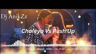 Chaleya Ragga Reflip Vs Push Up 2K23 Dj AnikZz [upl. by Ainivad]