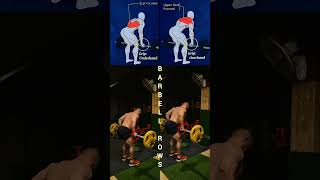 quotTransform Your Back with This Barbell Rowing Workout 💪  Quick amp Effective Routinequot [upl. by Seymour320]