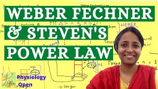 Weber Fechner law and Steven Power law  Sensory physiology lectures  CNS physiology mbbs 1st year [upl. by Gnirps]