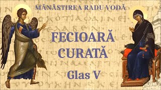 Fecioară curată glas 5  Mănăstirea Radu Vodă [upl. by Konstantin]