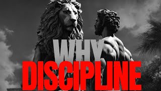 Why discipline is your key to success [upl. by Hullda]