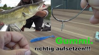 Super Montage zum Jiggen Gummifisch richtig aufziehen Angeln auf Zander mit Jigrute Livebiss [upl. by Carnahan405]