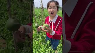 Nature Fresh Fruit Farm shorts shortvideo PE104 [upl. by Sabra]