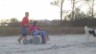 Beach Wheelchair and Dog Island [upl. by Vincent516]