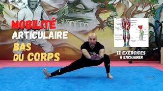 6 MIN ROUTINE MOBILITÉ ARTICULAIRE BAS DU CORPS avant ou après une séance de sport👍💪 [upl. by Adnawad]